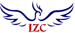IZONE CARGO LTD